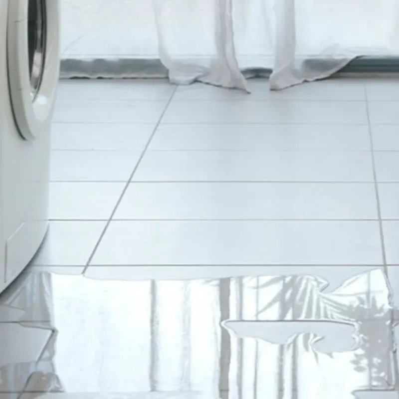Appliance Leak Cleanup in Welsh, LA