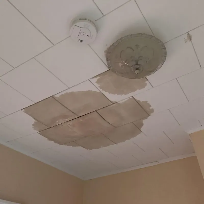 Ceiling Water Damage Repair in Welsh, LA