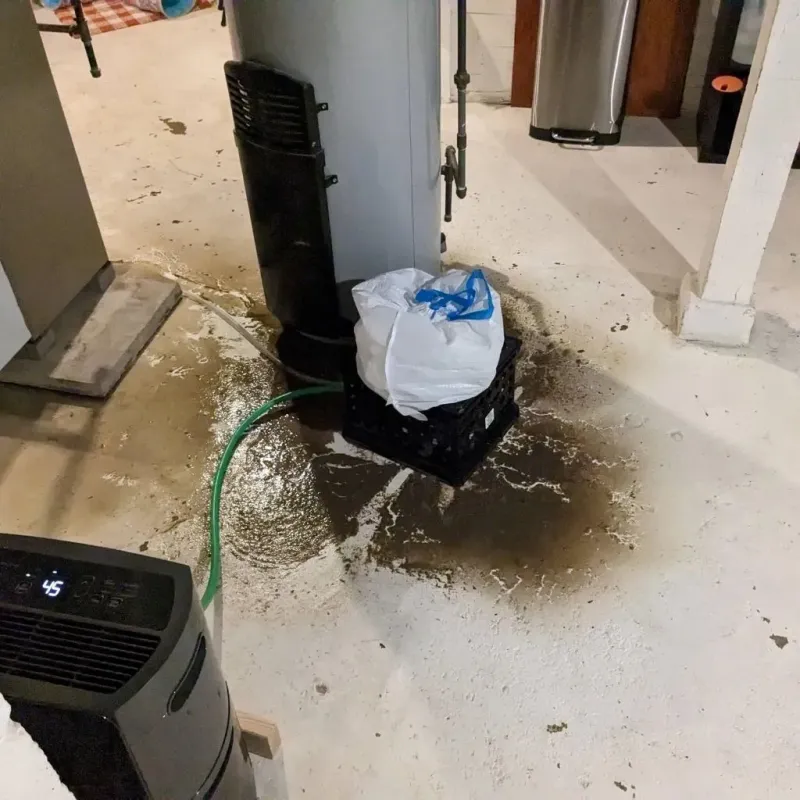 Sewage Backup Cleanup Service in Welsh, LA